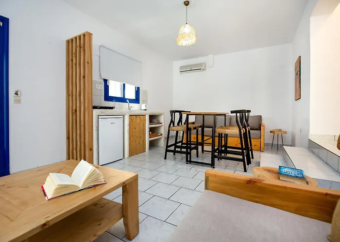 מלון Rodon House