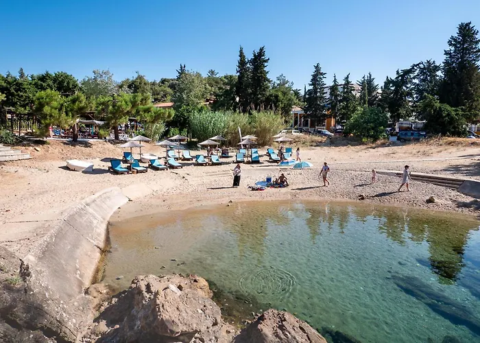 Rodon House מלון 3*