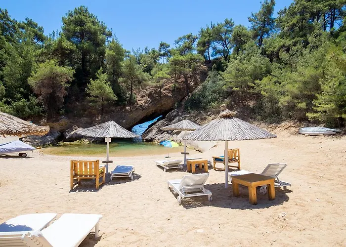 Rodon House לימנריה